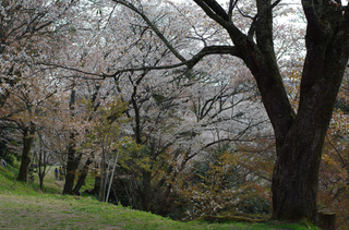IMGP1025.jpg