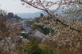 IMGP1035.jpg