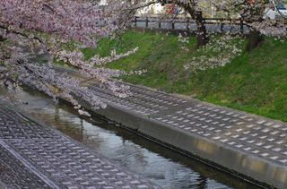 IMGP1061.jpg