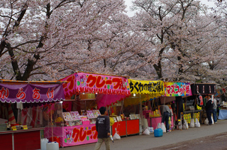 IMGP1080.jpg