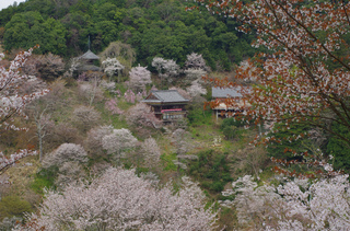 IMGP1098.jpg