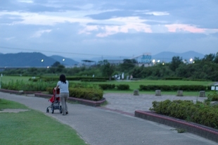 IMGP1187_1.jpg
