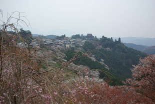 IMGP1538_1.jpg