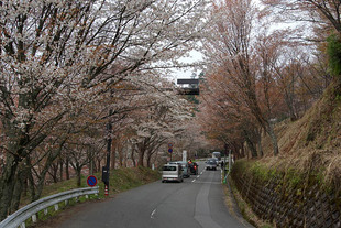 IMGP1544_1.jpg