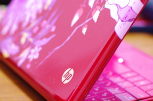 K7GP5004p.jpg