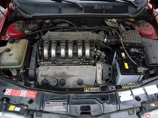 P1010677_1.jpg