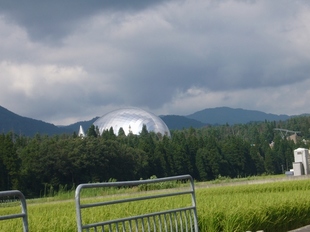 P1030202_1.jpg