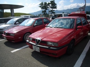 P1030203_1.jpg