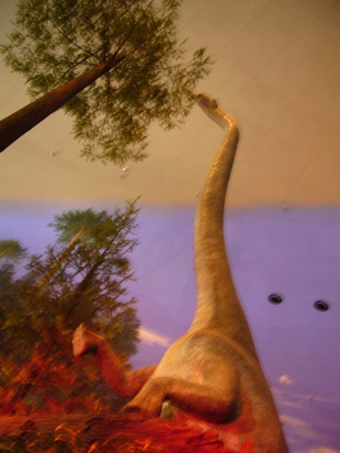 P1030218_1.jpg