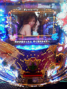 SN360082_1.jpg