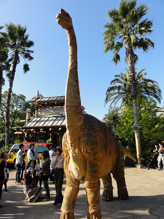 resize_DSC01433.jpg