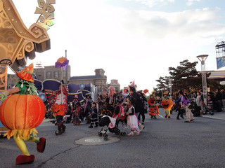 resize_DSC01473.jpg