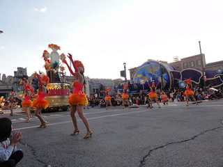 resize_DSC01489.jpg