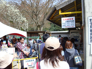 resize_DSC03648.jpg