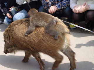 resize_DSC03654.jpg