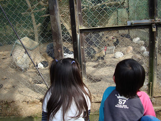 resize_DSC03664.jpg