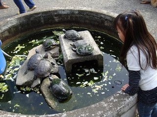 resize_DSC03666.jpg