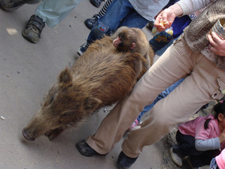 resize_DSC03667.jpg