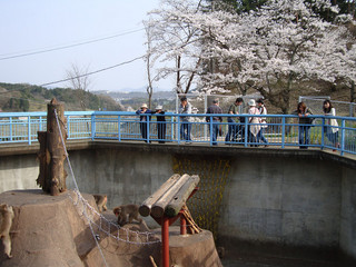 resize_DSC03669.jpg