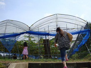resize_DSC04195.jpg