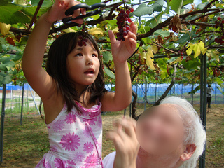 resize_DSC04198.jpg