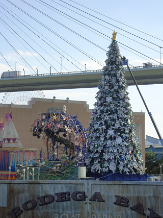 resize_DSC04314.jpg