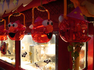 resize_DSC04381.jpg