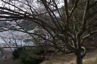 resize_K7GP9336.jpg
