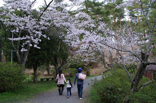 resize_K7GP9347.jpg