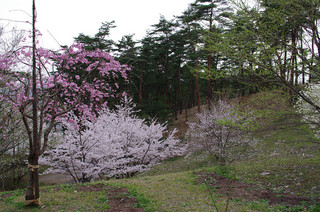 resize_K7GP9373.jpg