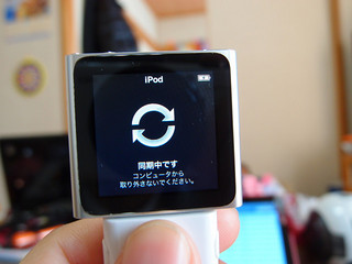 resize_P1070042.jpg