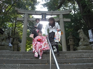 t_maositugosan037.jpg