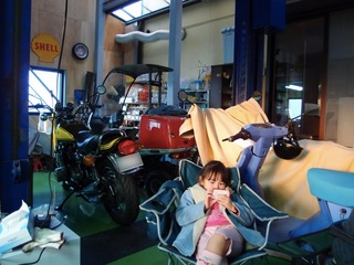 th_P3110264.jpg