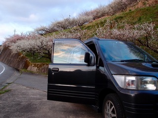 th_P4011747.jpg